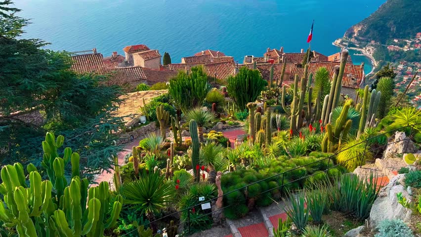 Exotic garden Jardin Exotique d'Eze in the village of Eze Provence, Alps, Cote d'Azur France February 27, 2025. High quality 4k footage
