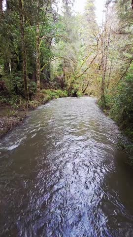 A wide flowing natural stream in the woods