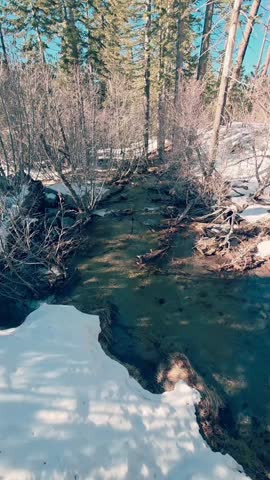 A gentle flowing stream in a winter forest