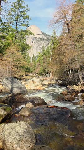 A flowing stream in the middle of the wilderness 
