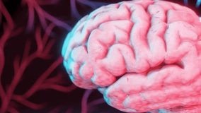 Close-up of human brain with pink and blue neon lighting and glowing neural branches on dark background. 3D digital illustration in conceptual science and technology style. Artificial intelligence, - Powered by Shutterstock - Get 15% off with code: PIKWIZARD15