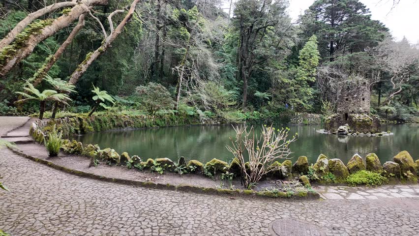 Serene forest pond surrounded by lush greenery, perfect for tranquil meditation or Earth Day nature reflection