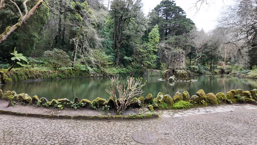 Serene forest pond in lush greenery, perfect for Earth Day reflections and tranquil nature retreats, calming scenery