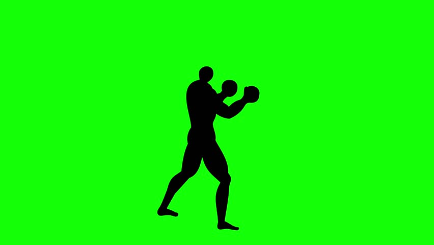 Shutterstock Video