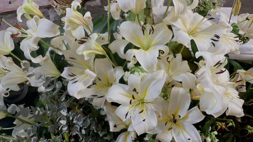 A bouquet of white flowers with yellow centers. The flowers are arranged in a vase. The vase is on a table
