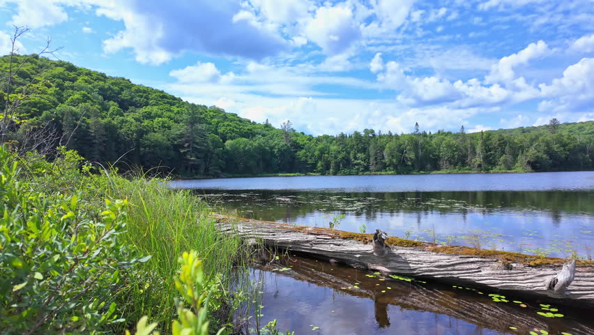 Tranquil lake panoramic view in British Columbia, Canada, North America. Waterfront with rocks, pebbles and wood in slow motion at summer day during travel. Mountains with blue sky and white clouds.