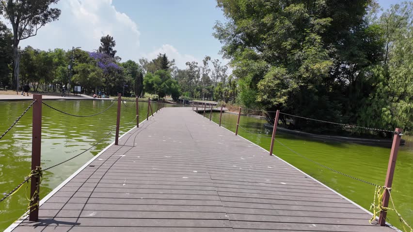A walkway over a body of water with a green color. The walkway is made of wood