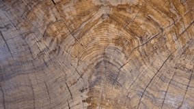 A large piece of wood with a lot of grooves and lines. The wood is brown in color - Powered by Shutterstock - Get 15% off with code: PIKWIZARD15