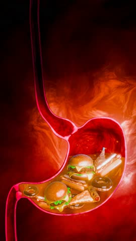 pizza and sweet foods. Junk food. Symptoms of acid reflux or excess acid in the stomach. Gastric juice and intestinal model within the abdominal cavity. Pressure air causes stomach pain. 3D Rendering