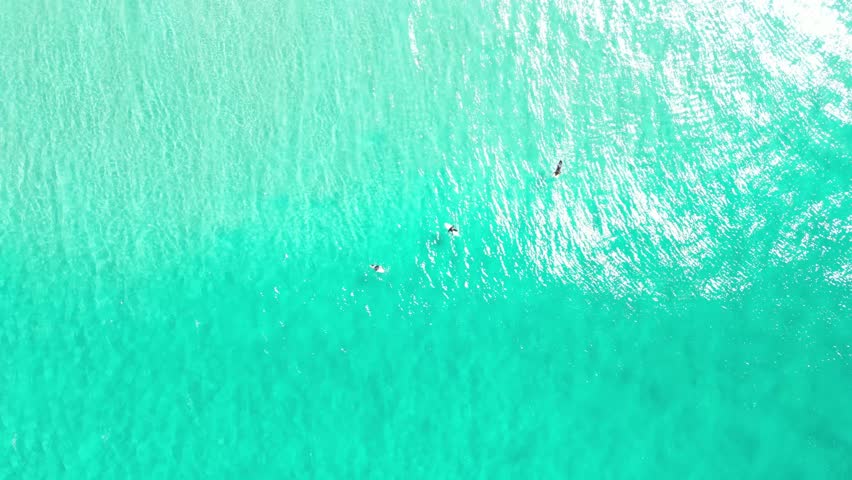 surfers waiting for the waves