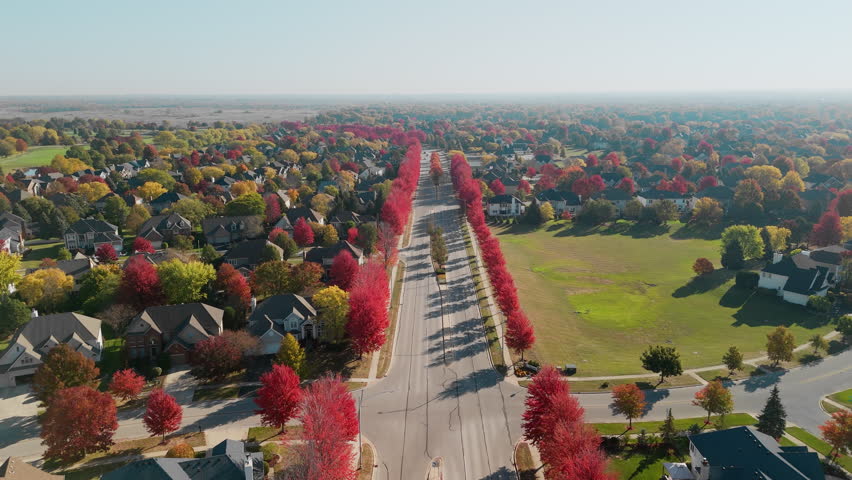 Beaut Scenic suburban street surrounded by vibrant red and yellow autumn trees. Warm fall colors create a picturesque seasonal neighborhoods, homes, aerial view.