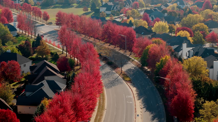 Beaut Scenic suburban street surrounded by vibrant red and yellow autumn trees. Warm fall colors create a picturesque seasonal neighborhoods, homes, amid breathtaking Autumn colors, aerial view.