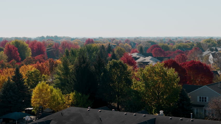 Beaut Scenic suburban street surrounded by vibrant red and yellow autumn trees. aerial view.