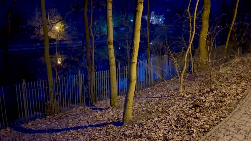 A peaceful night scene shows tall trees by a calm lake, softly lit by the warm glow of the bright moon