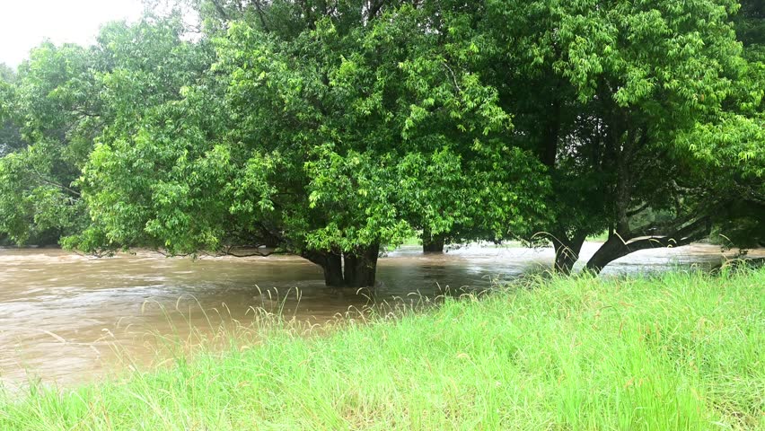 Flood in South East Queensland, Australia