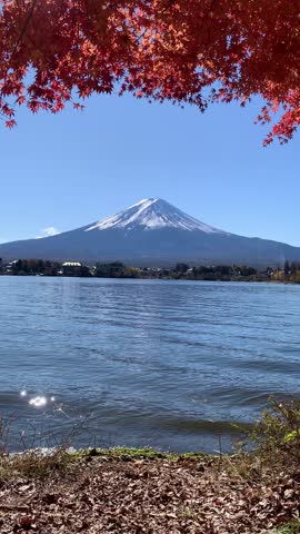 View of Mount Fuji from kawaguchiko lake, Autum leaves , beautifulness of maples tree