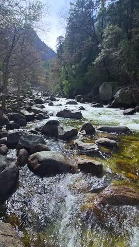A scene of nature. With a creek flowing through large stones