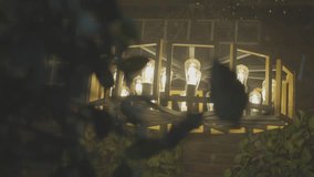 Chandelier with glowing bulbs, leafy shadows on light, decorative indoor lamp, golden geometric frame, artistic lighting design, cozy interior decor, stylish warm bulbs, indoor mood light, plant - Powered by Shutterstock - Get 15% off with code: PIKWIZARD15