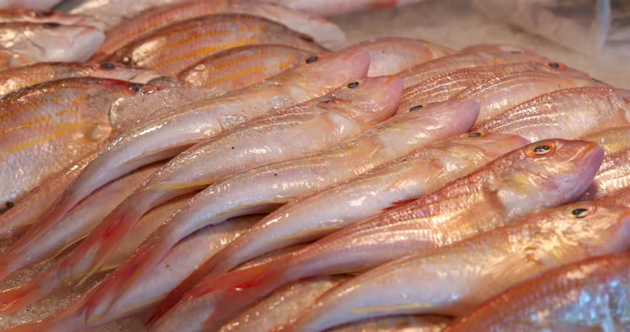 Fresh fish ice seafood market display, raw ingredients food source healthy eating retail commerce marine life freshness.