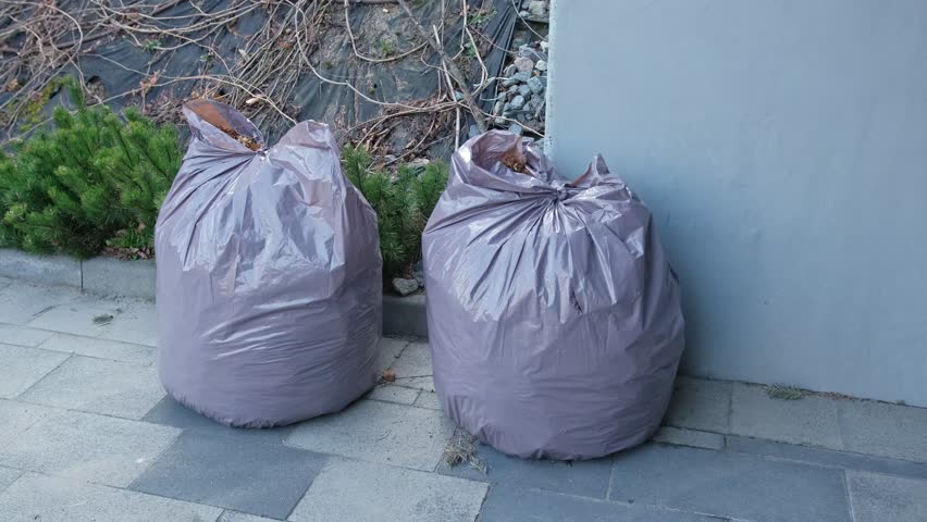 Plastic Garbage Bags Filled with Withered Dry Leaves after Spring Garden Cleanup