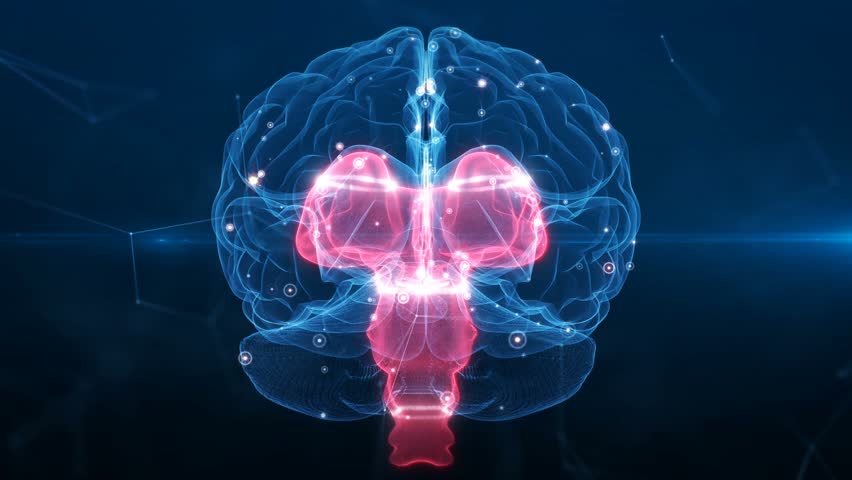 Brain, technology, medicine, artificial intelligence, brain stem