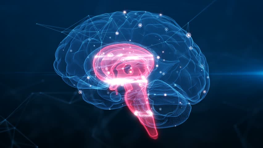 Brain, technology, medicine, artificial intelligence, brain stem