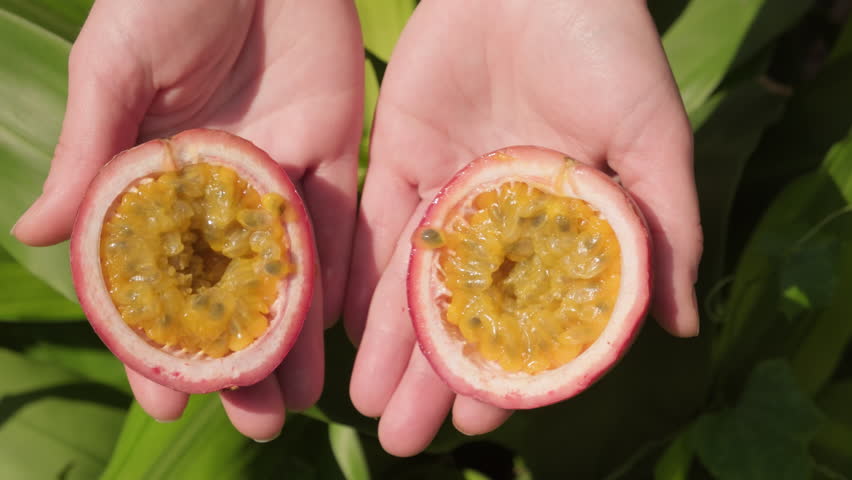 Two halves of ripe passion fruit in female hands close-up.