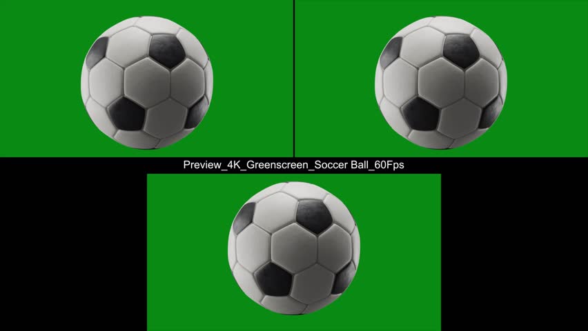 Shutterstock Video