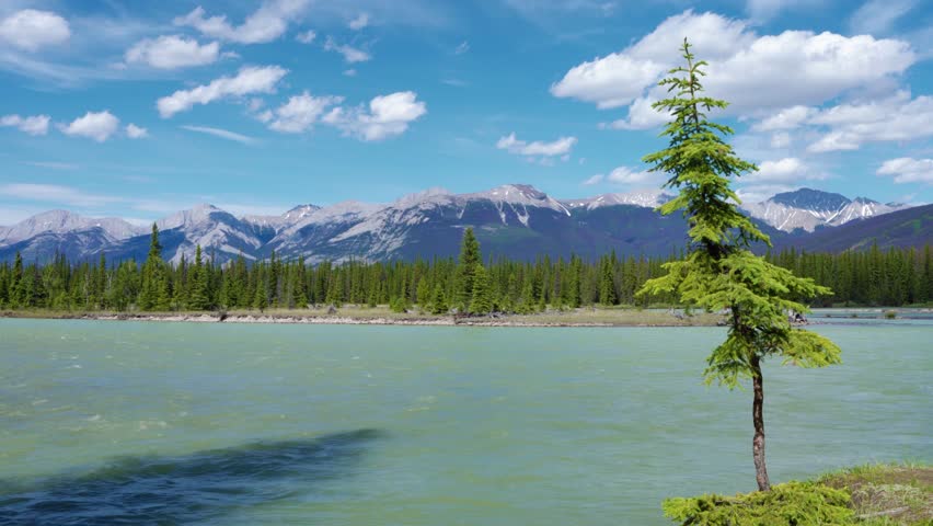 Athabasca River Flowing Through Jasper National Park, Alberta, Canada. Breathtaking Scenic View in the Canadian Rockies