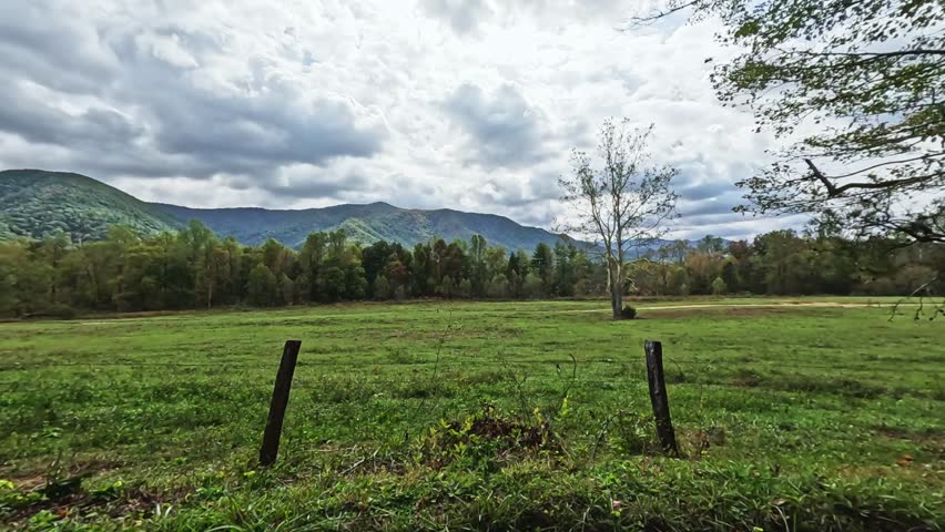 Peaceful rural landscape featuring open grassy field, scattered trees, and forest with distant mountains under cloudy skies. Grassy Field with Trees and Distant Mountains Under Cloudy Sky