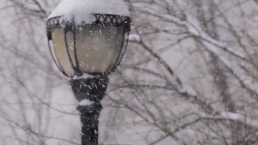 Real Footage of Heavy Snowfall: Snowflakes, Blizzard, Streetlights, and Snow Covered Pines in Winter