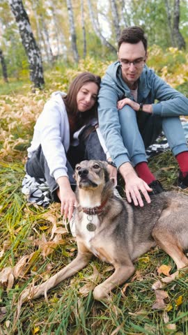 A married couple relaxes in nature during a walk with their beloved dog in an autumn forest. The loving woman and man sit in the tall yellow grass, in the fern leaves, with the dog next to them.