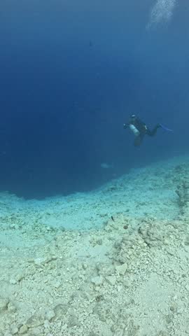 A tiger shark with a misaligned jaw rises from the depths and swims past a sidemount diver with a single cylinder.