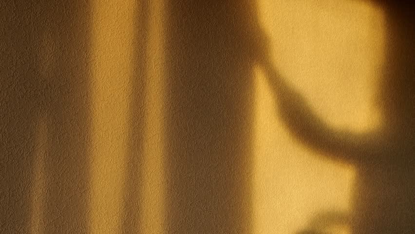 woman silhouette opens curtains.woman shadow on the wall. womans shadow opens the light curtains.Mysterious mystical video. Melancholy mood. 4k footage