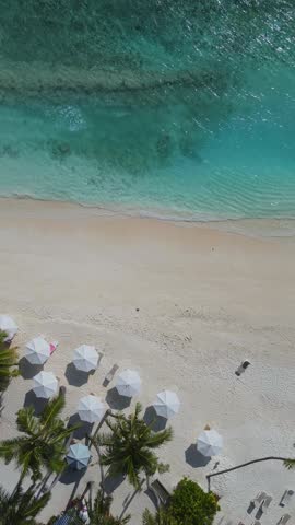 Aerial view of sun umbrellas under palm trees at the tropical beach at sunny day. Maldives. Verticla video