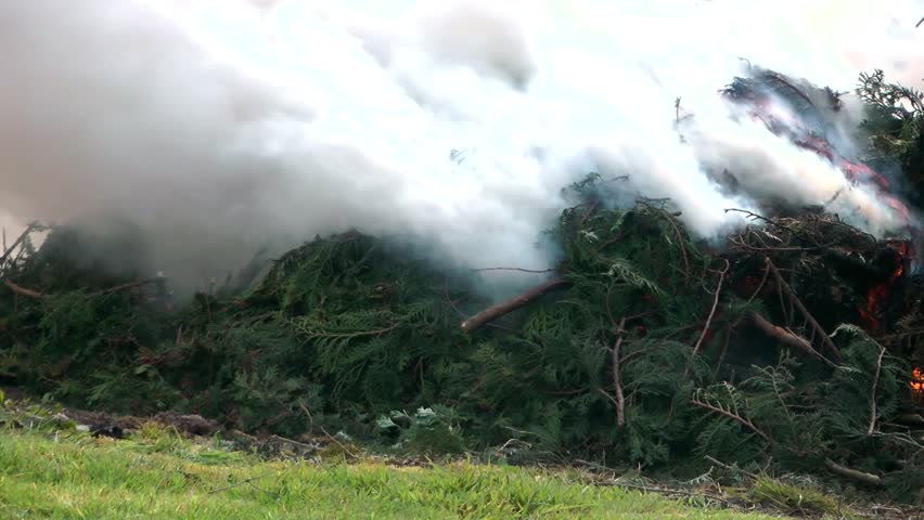 Smoke from Wood Fire
