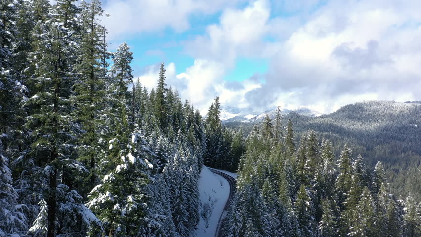 Snow-Covered Pine Trees in the Umpqua National Forest in Southern Oregon, drone ascending revealing mountains and valleys.