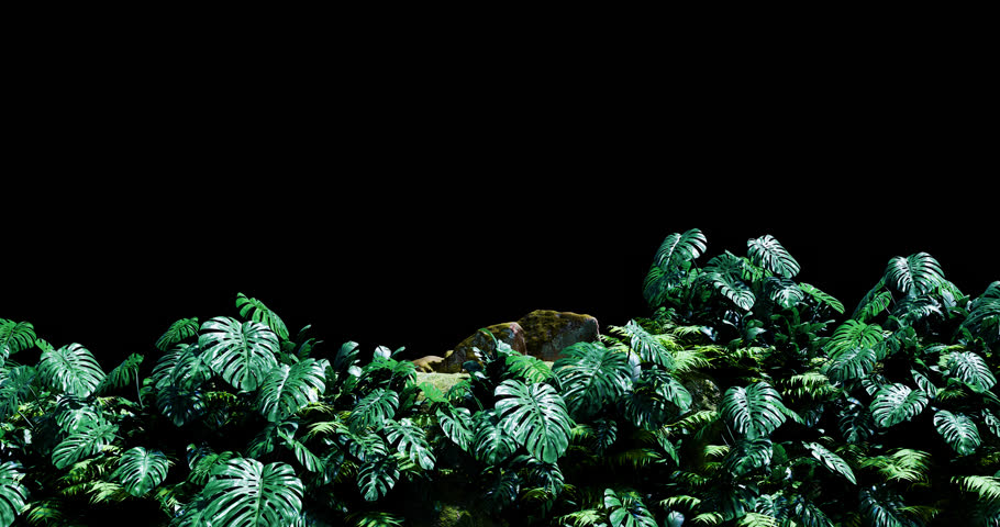 Front View In Rainforest is alpha motion footage for seasonal films and cinematic in lifestyle summer scene. Also good background for scene and titles, logos