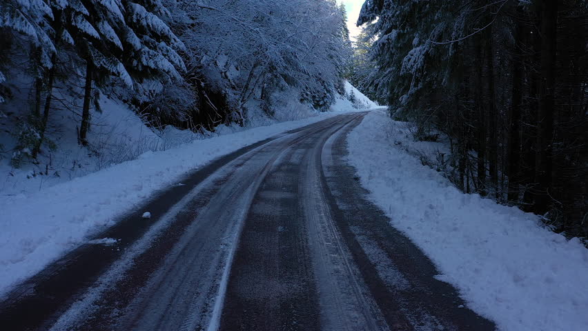 Snow-Covered Pine Trees in the Umpqua National Forest in Southern Oregon, drone ascending over road between trees.