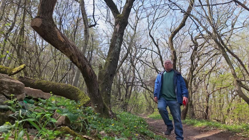 Senior man stops to enjoy springtime birdsong along woodland nature trail