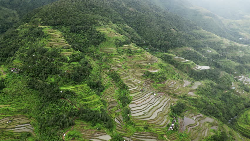Aerial view of picturesque Rice Terraces in Philippines, 4k