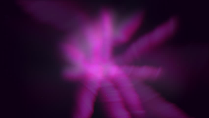 Shutterstock Video