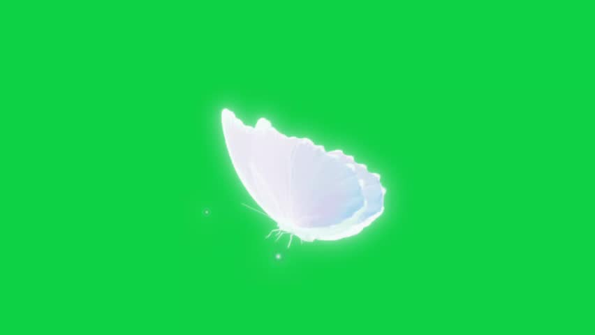 Shutterstock Video