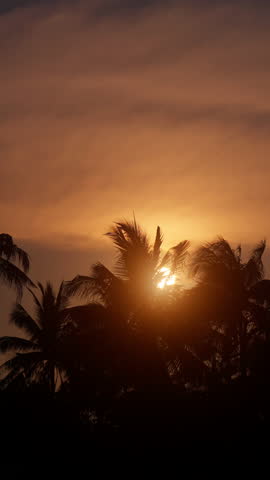 A radiant golden sunset casts a warm glow over the horizon as palm leaves sway gracefully in the gentle tropical breeze, creating a serene and dreamy island atmosphere