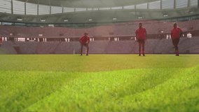 Running on green field, rugby players in large stadium during match animation. Sports, teamwork, competition, athletic, recreation, outdoor - Powered by Shutterstock - Get 15% off with code: PIKWIZARD15