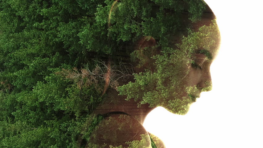 Nature beauty. Forest silhouette. Double exposure aerial view of green trees foliage in profile outline relaxed woman face isolated on white copy space background.