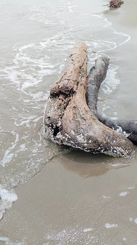 Waves roaring on the shore