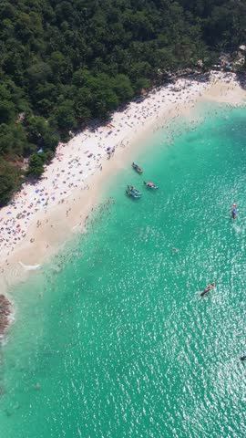 Vertical Drone Shot of Tropical Beach With White Sand and Green Rainforest, Exotic Travel Destination