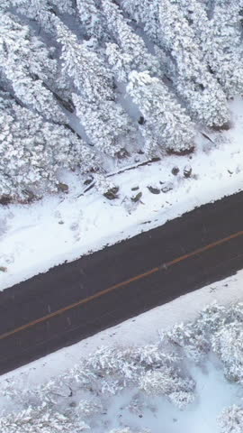 AERIAL, TOP DOWN: Tourist cars driving down the scenic asphalt road running along the beautiful emerald river on an idyllic winter day. Breathtaking snow covered wilderness near famous Tahoe Lake.