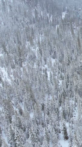 AERIAL: Flying above the picturesque winter forest and emerald colored stream flowing through the scenic countryside of California. Breathtaking whitewater rapids rushing through the snowy woods.